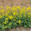 서당골농장 이미지