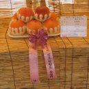 캠프스토리 이미지