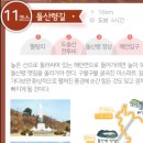 ●강원도 평화누리길(자전거길) 11코스 양구 돌산령 길 16km 강원 양구 이미지