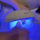 UR(경주시)-[동해안로]-하-19 | [경주 2박3일] 진짜 알차게 잘 놀고왔잖아 -1편-