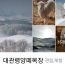 정영진목장 이미지