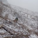 횡성농산농장 이미지