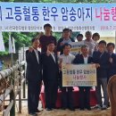 우량한우 이미지