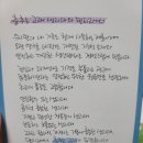 (주)오나트라 | [내돈내산] 춤추는고래 날개형 팬티라이너 추천 (슬림.롱 비교)