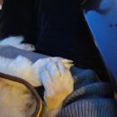비에이치씨 미사역점