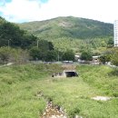 덕충주공아파트(앞) 이미지