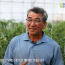 대양축산 노컷뉴스