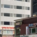 체리약국 | 피롤츠커피 시청점: 서울 시청역 카페 수제 카라멜 푸딩과 디카페인 프렌치 프레스 후기 feat. 체리 샤베트