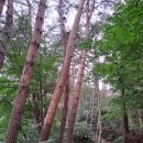 바우길 12구간 | [공지] 보헤미안 박이추커피 본점 방문 후기. 오전에 마신 커피, 그 향이 아직도 입안에 느껴진다.