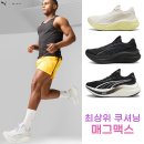 푸마두타점