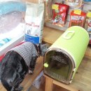 잠실종합동물병원 이미지