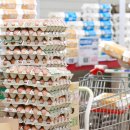 보일농수산 이미지