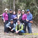 창호초등학교 이미지