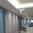수원 정자동 정형외과 닥터본재활의학과 체외충격파 도움이 되는 원리는