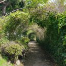 소나무공원 화장실 이미지