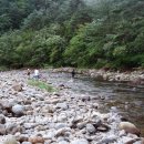 새터민박 이미지