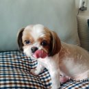 남현우동물병원 이미지