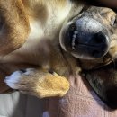 학골사랑방 이미지