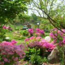 황토방 펜션 이미지