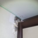 명진2차아파트 이미지