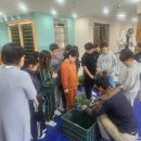 강구초등학교 이미지