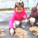 정윤농장 이미지