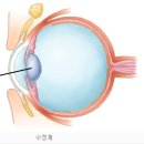 눈사랑한의원 이미지