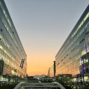 노포식당 이미지