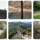 오암마을회관 이미지