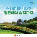 스카이큐브 이미지