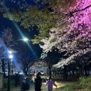 꽃보라개 이미지