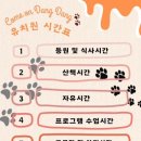 커몬댕댕 광주애견유치원&애견호텔 이미지