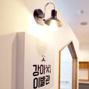 강아지 이발관 이미지