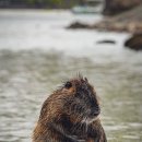 더소야소부평구청점 이미지