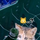 잠시 이미지