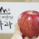 낙산골농장