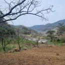 매전면사무소 이미지