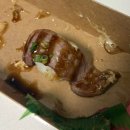 김밥마리롤초밥 | 청주유부초밥맛집 찾다가 발견한 곳! 롤앤마리 먹어보니 왜 인기 있는지 알겠어요