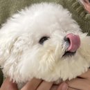 안산 카페 위글리 구움과자 케이크까지 취향저격