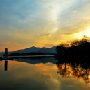 비야비야 이미지