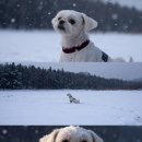 성현유치원 | ✿∘˚˳°∘°