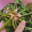 우빈농장 이미지