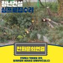 무성기업 | 대로변 위험수목 제거 과천벌목업체 안전 시공 후기