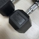 집에 | 9kg 고무 육각 멜킨 덤벨로 집에 헬스장 만든 후기