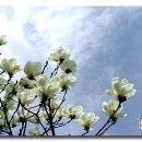 시원한바람 이미지