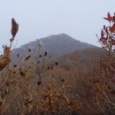 양평초등학교 이미지