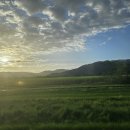 대희농장 이미지