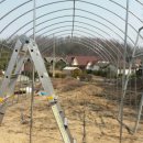 꼬꼬닭하우스 이미지