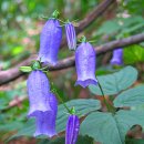 월곡청소년센터 이미지