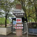 충북 괴산 맛집 부흥송어장횟집 솔직 후기